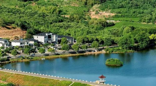 2022年六大農村工程啟動 農民愿望成真，戶戶受益